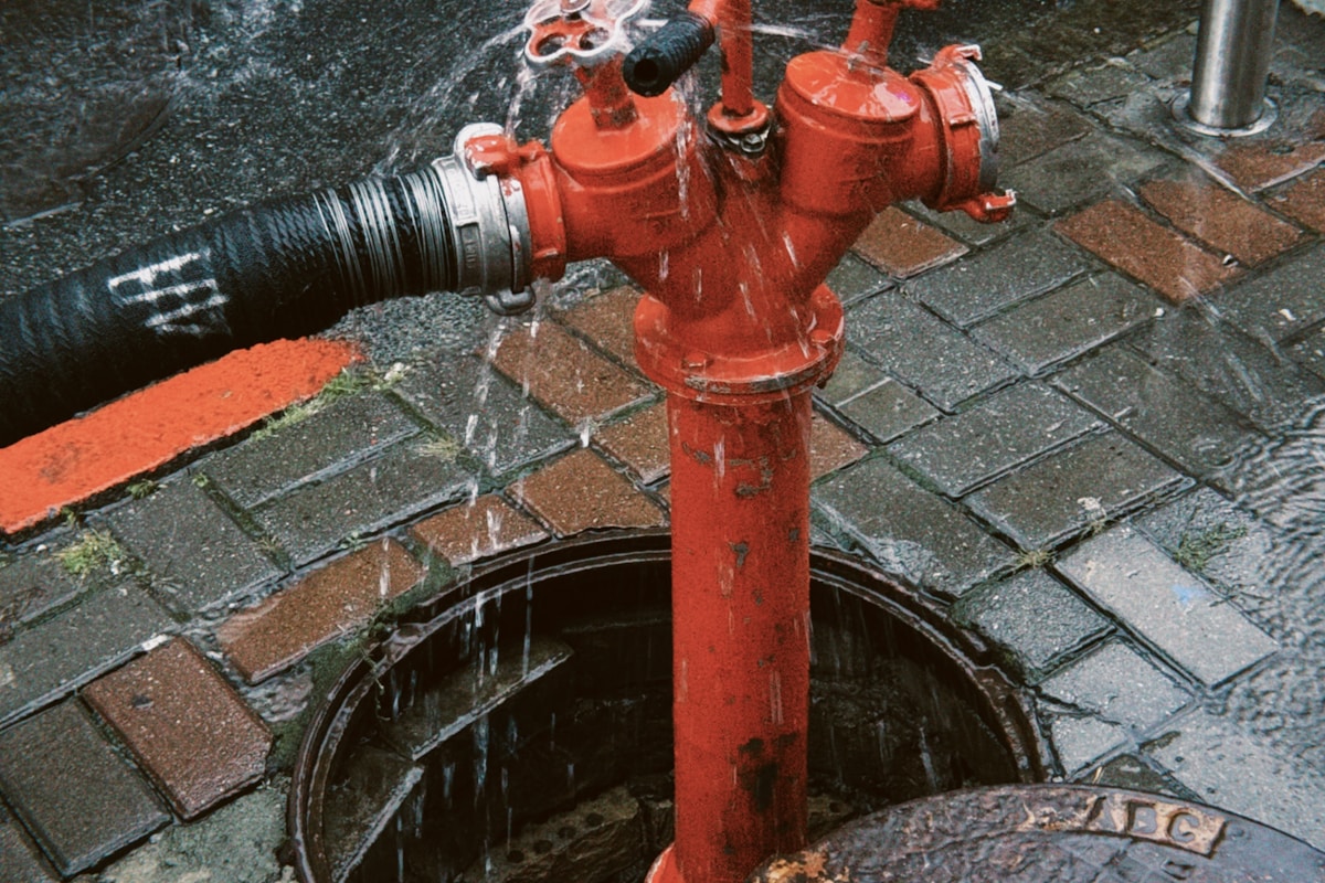 Commercial water damage restoration in Madison